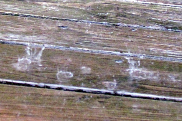 rain splashing on an outdoor table