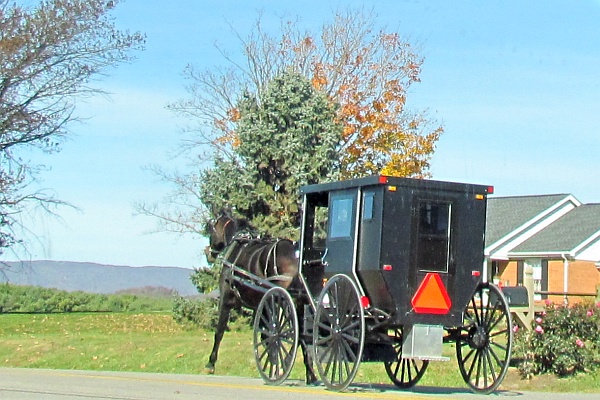 an Old Order Mennonite buggy
