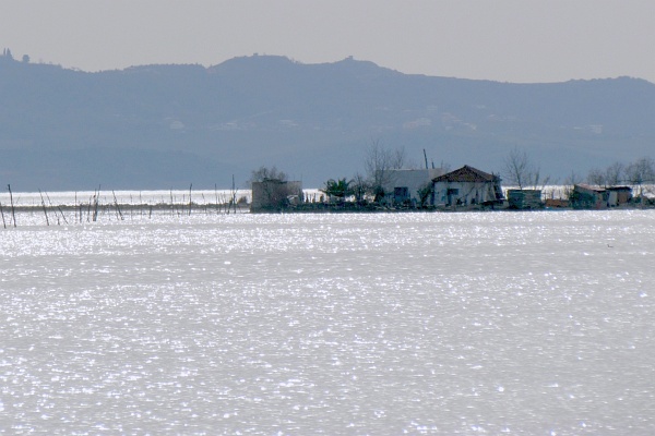 close up of the island on Patok Lagoon
