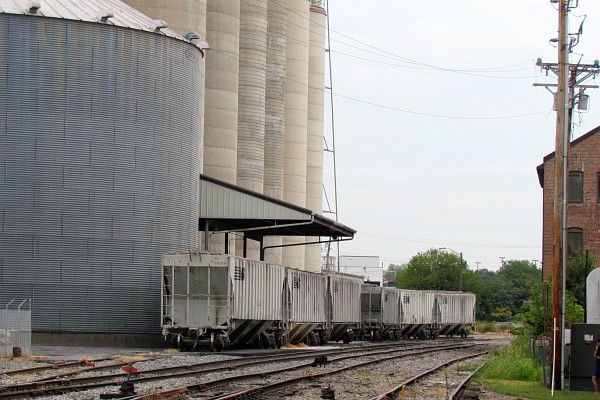 grain cars waiting to be filled or have already been