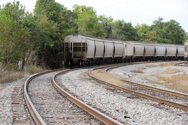 grain cars on the bend at Pilgrim's Paride feed mill