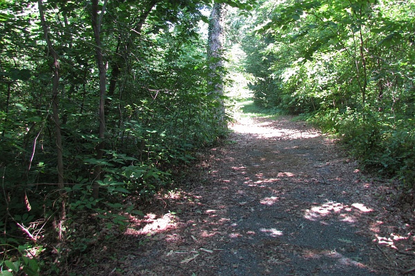 trail through Park Woods, Harrisonburg, VA, USA