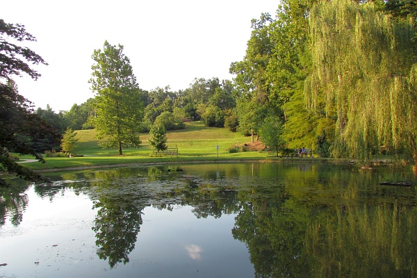the JMU arboretum lake