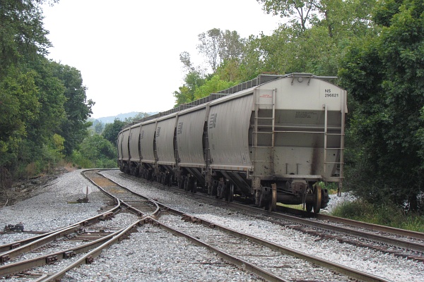 a chain of grain cars near a feed mill