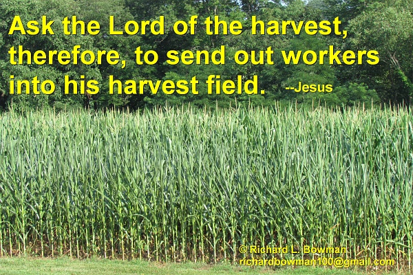 ask the Lord of the harvest to send out workers
